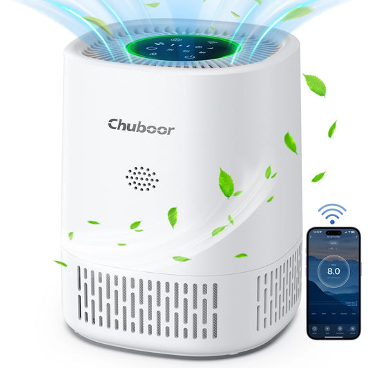 Chuboor Desktop Air Purifier For Home And Office