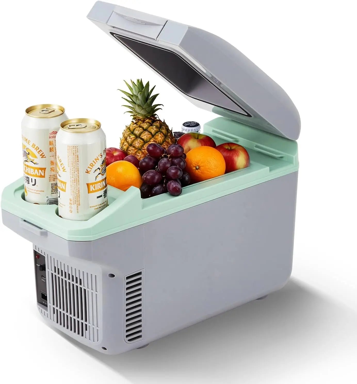 Tacleekii Electric Car Refrigerator Cooler Warmer