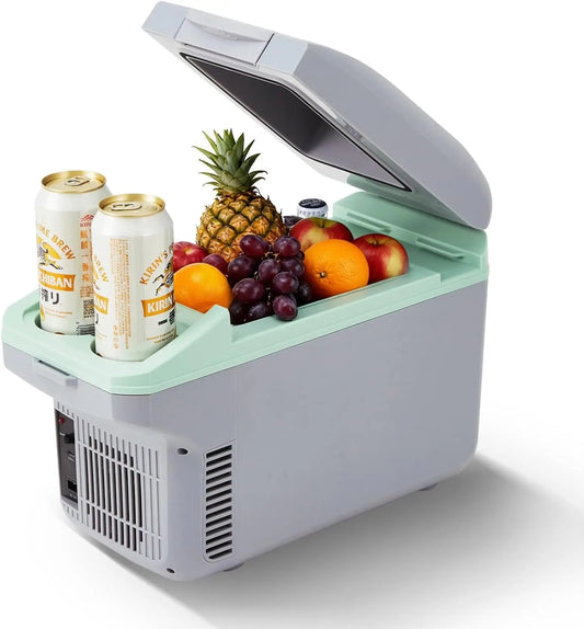 Tacleekii Electric Car Refrigerator Cooler Warmer
