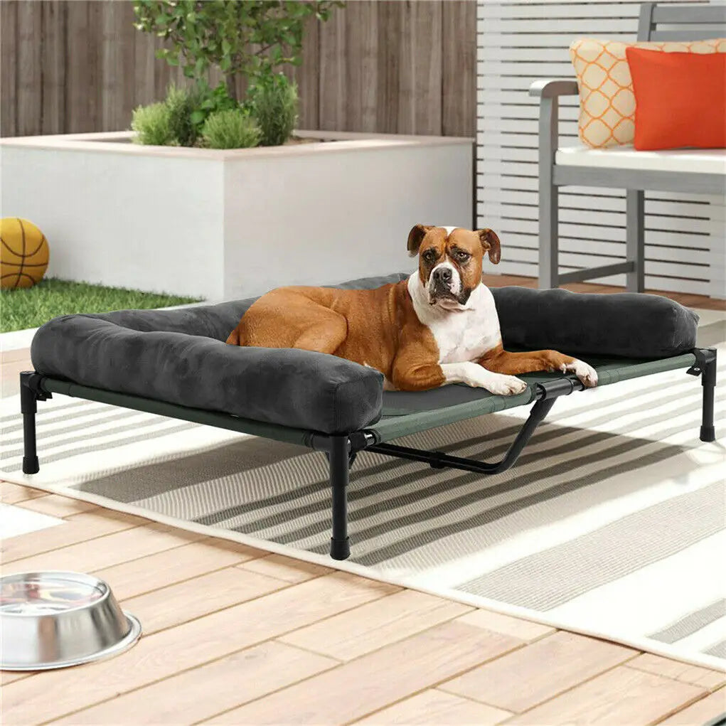 Bingopaw Cooling Elevated Pet Bed With Plush Bolster